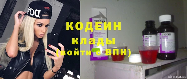 дмт Арсеньев