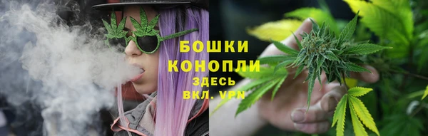 дмт Арсеньев