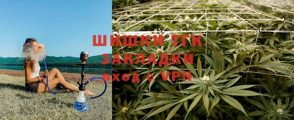 дмт Арсеньев