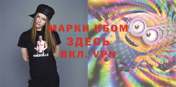 дмт Арсеньев
