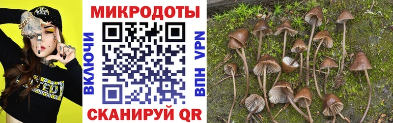 как найти закладки  Мещовск  Псилоцибиновые грибы GOLDEN TEACHER 